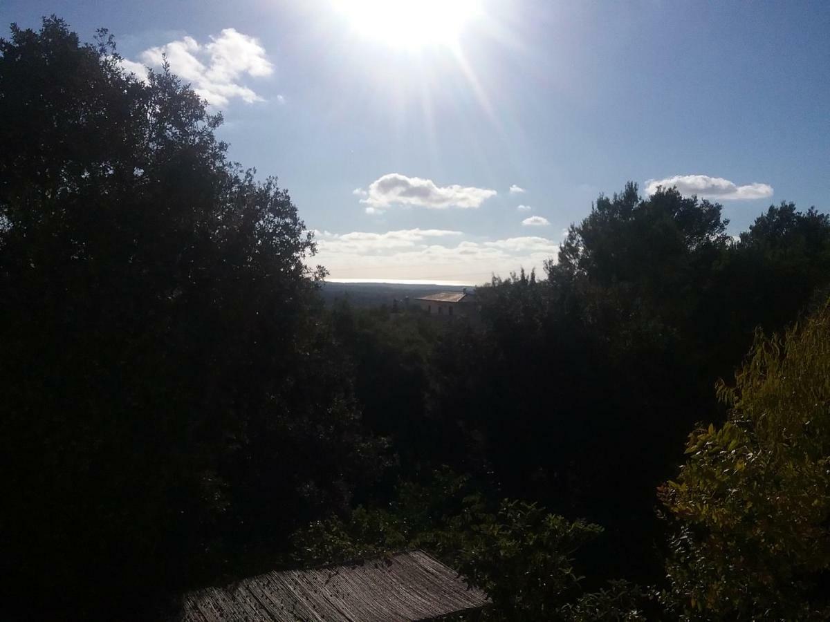 Ses Alzines Apartamento Integrado En Casa Rural Habitada リュックマヨール エクステリア 写真